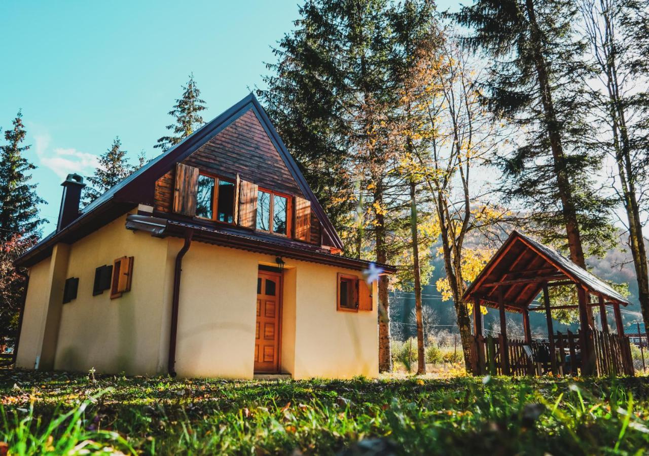 Pineview House Holiday home